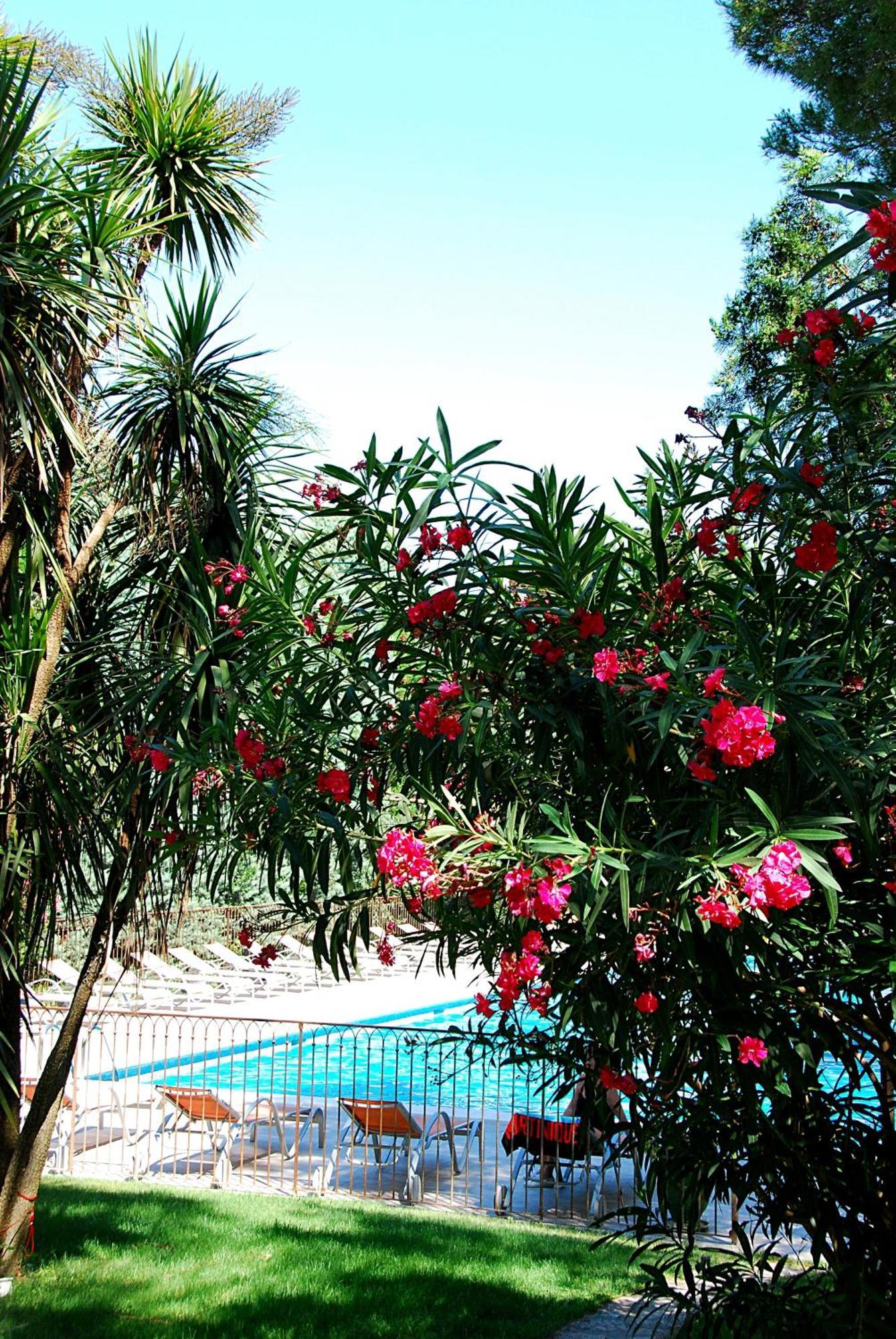 Hotel Les Mazets Des Roches Tarascon Zewnętrze zdjęcie