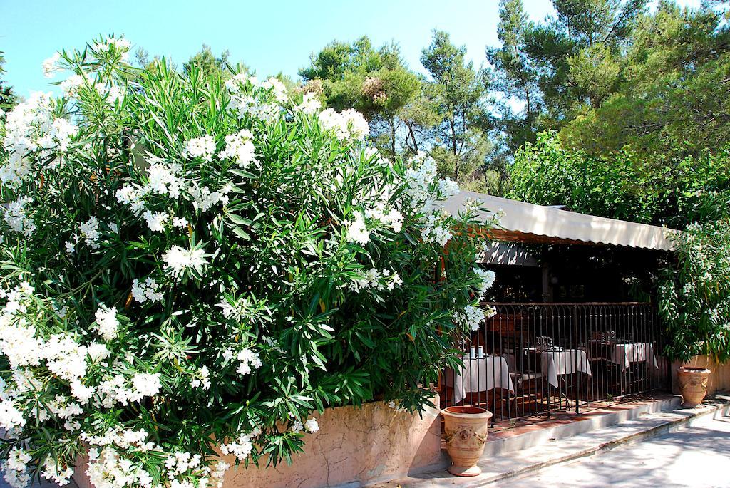 Hotel Les Mazets Des Roches Tarascon Zewnętrze zdjęcie